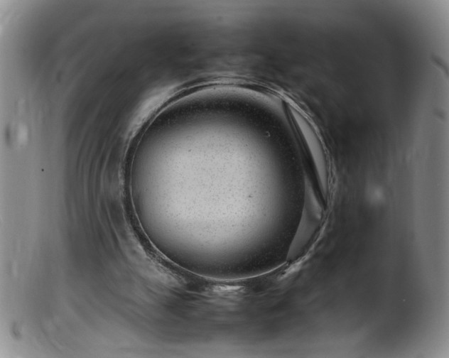 X0000099460055200805161057