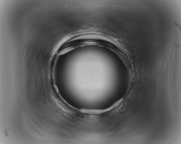 X0000099460056200805161057