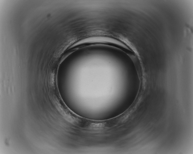 X0000099460057200805161057