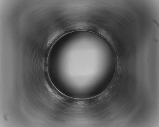 X0000099460058200805161057