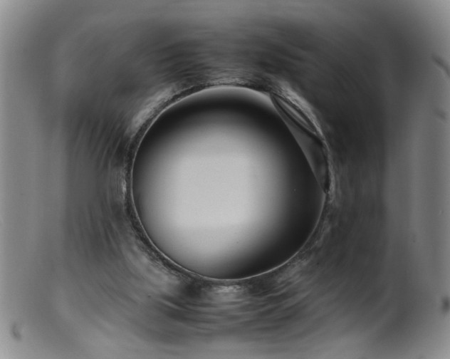 X0000099460059200805161057