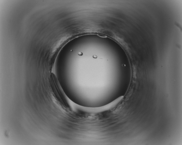 X0000099460060200805161057