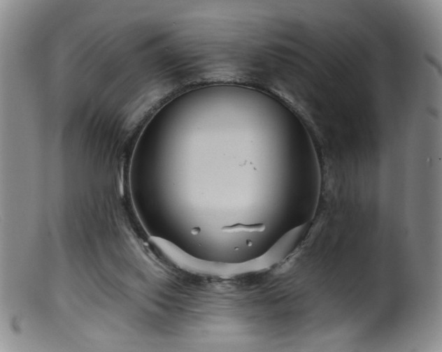 X0000099460062200805161057