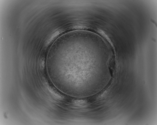 X0000099460063200805161057