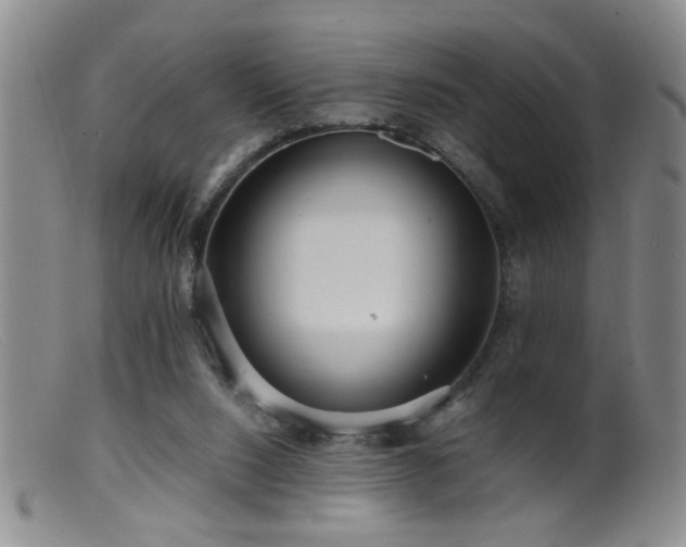 X0000099460064200805161057