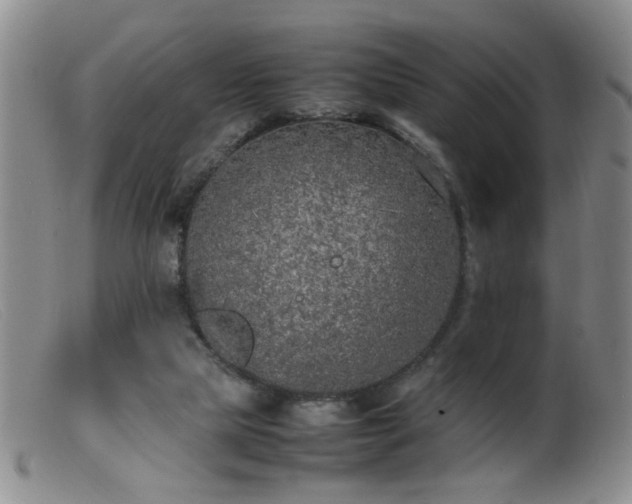 X0000099460065200805161057