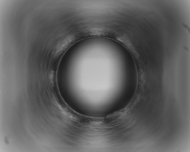 X0000099460066200805161057