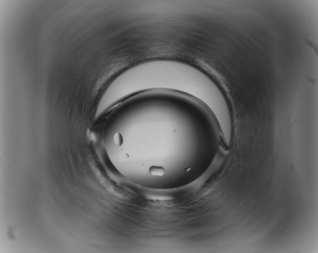 X0000099460067200805161057