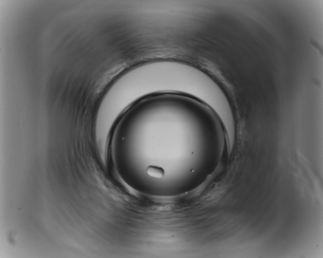 X0000099460068200805161057