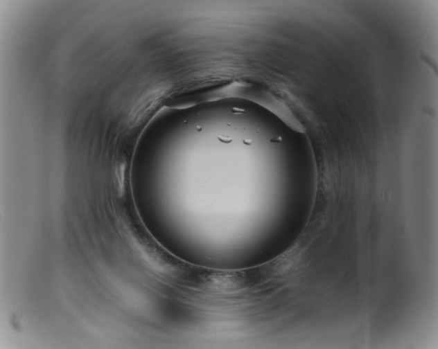 X0000099460070200805161057