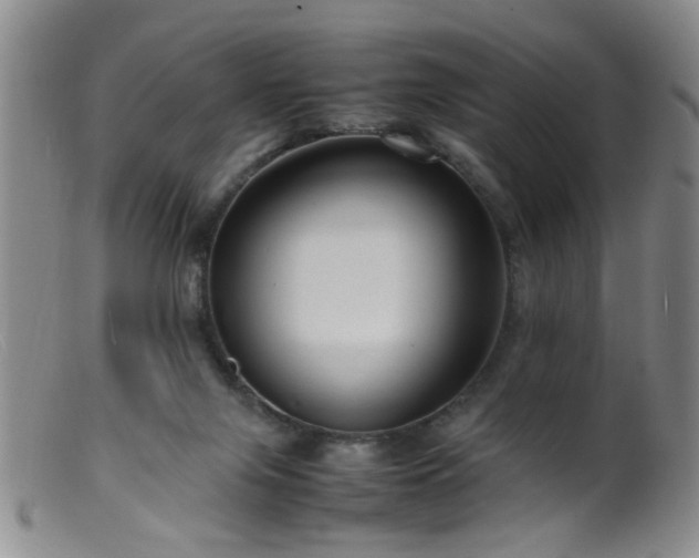 X0000099460071200805161057