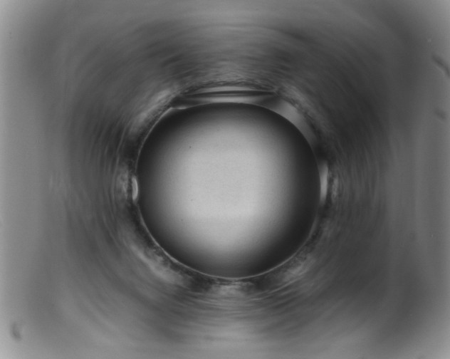 X0000099460072200805161057