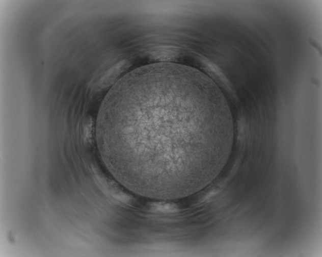 X0000099460073200805161057
