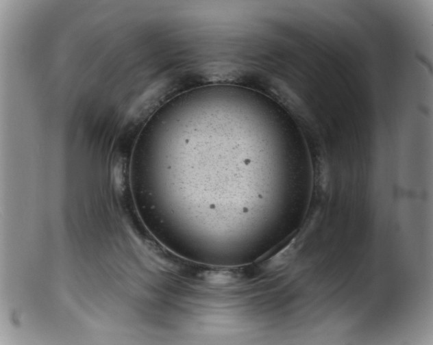 X0000099460074200805161057