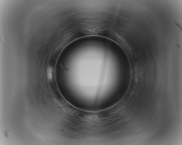 X0000099460075200805161057