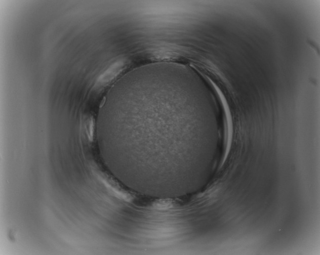 X0000099460076200805161057