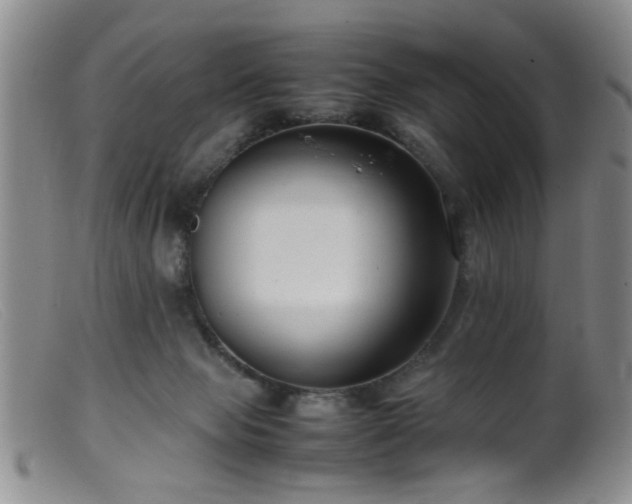 X0000099460077200805161057