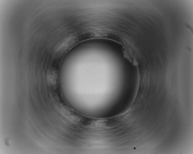 X0000099460078200805161057