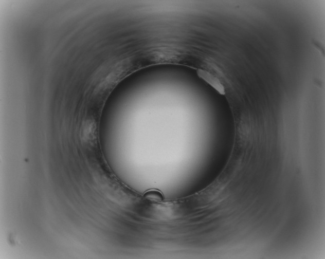 X0000099460079200805161057