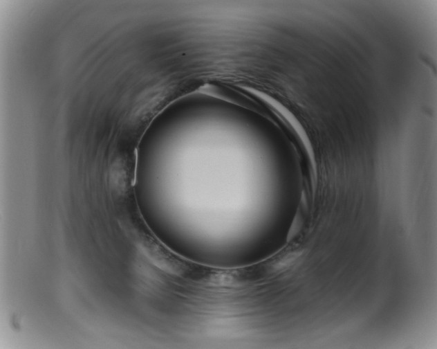 X0000099460080200805161057