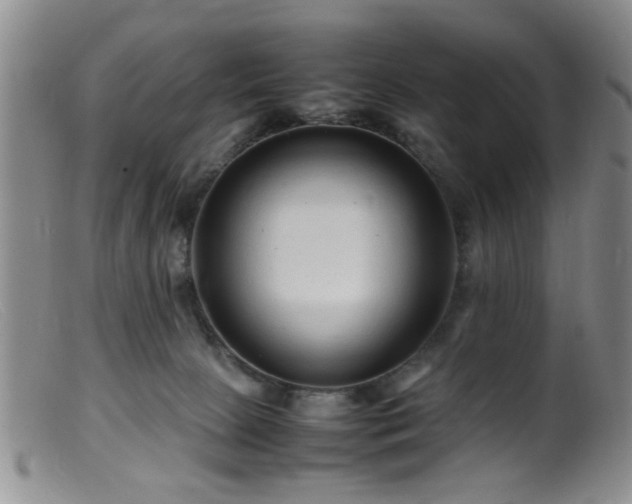 X0000099460081200805161057