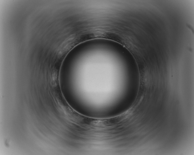 X0000099460082200805161057