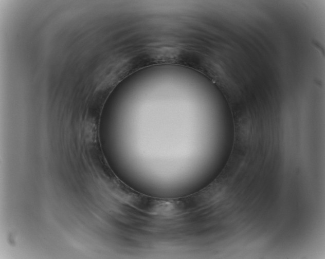 X0000099460083200805161057