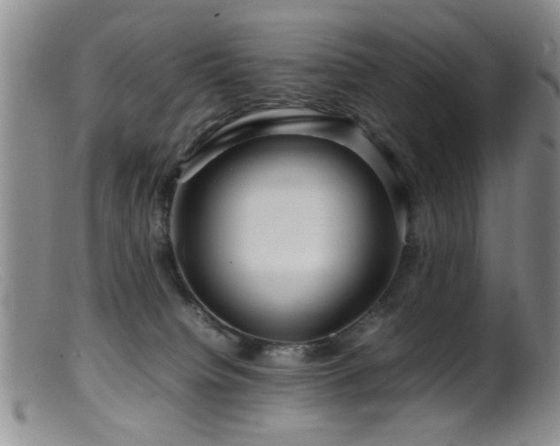 X0000099460084200805161057