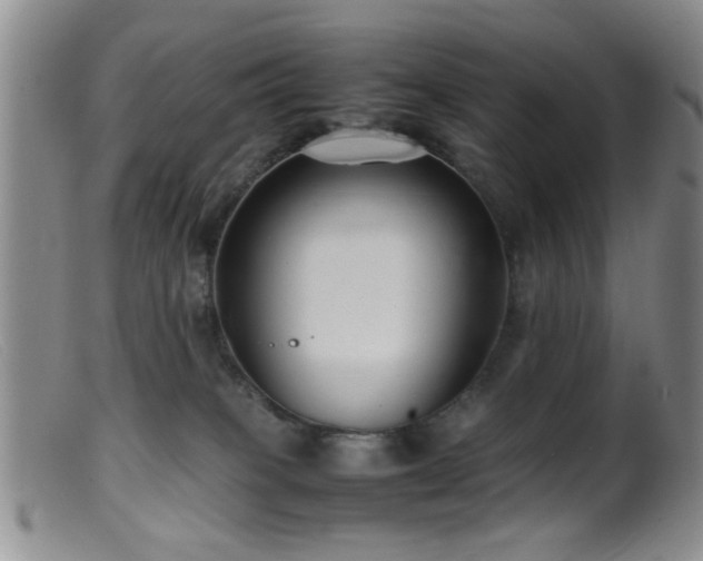 X0000099460085200805161057