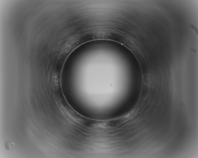 X0000099460086200805161057