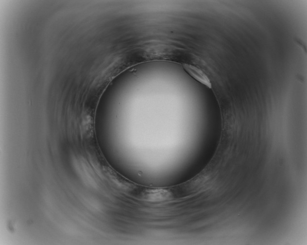 X0000099460087200805161057