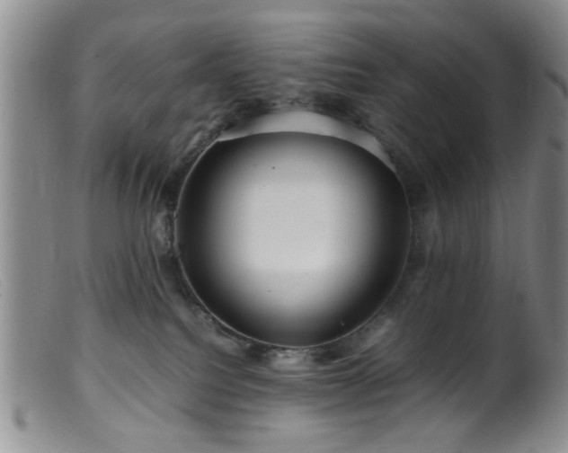 X0000099460088200805161057