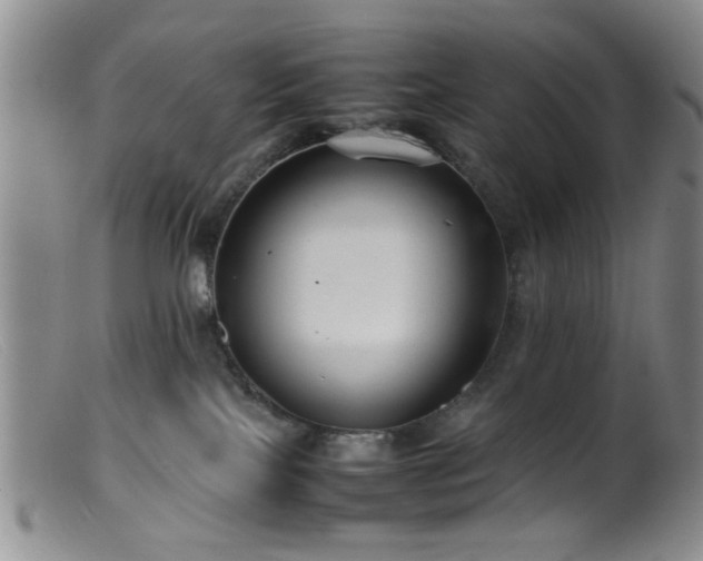 X0000099460089200805161057