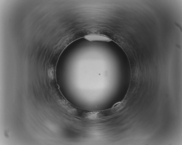 X0000099460090200805161057