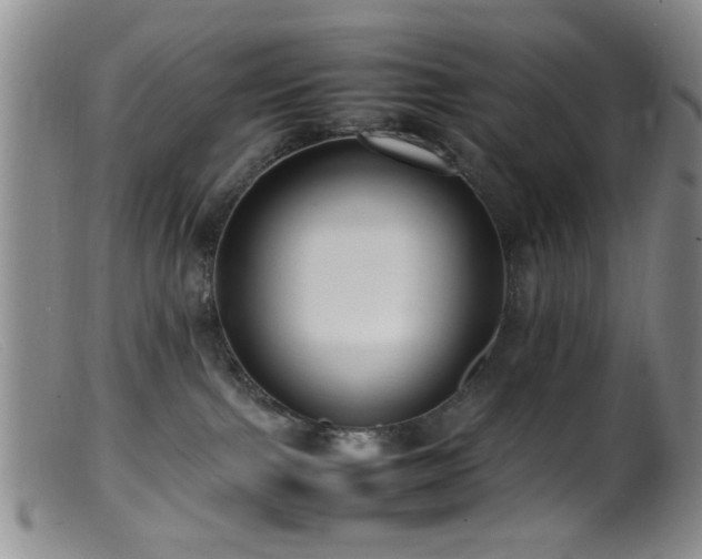 X0000099460091200805161057