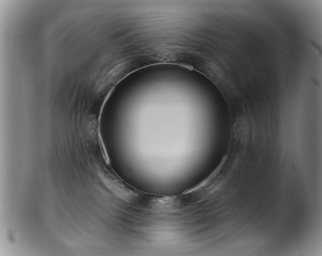 X0000099460092200805161057