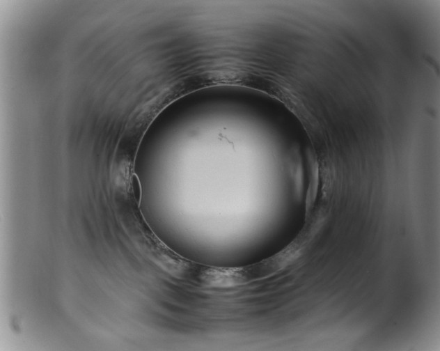 X0000099460093200805161057