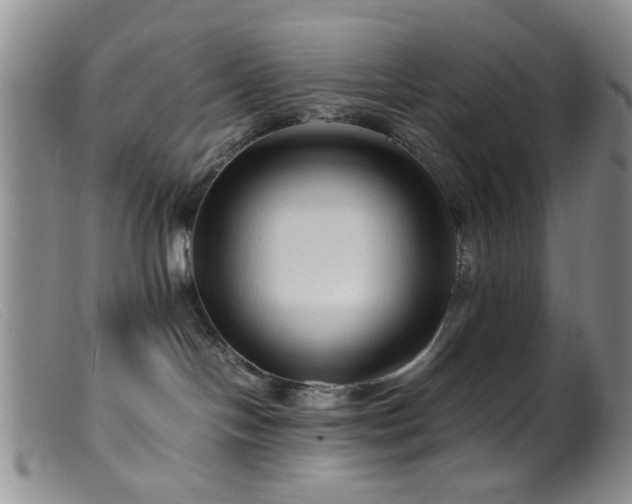 X0000099460094200805161057