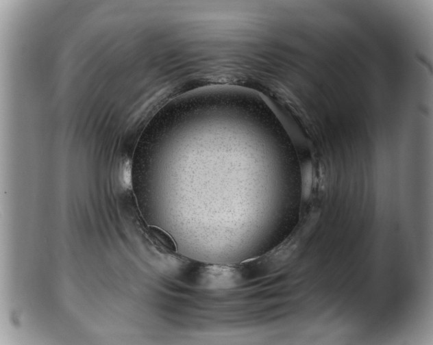 X0000099460095200805161057