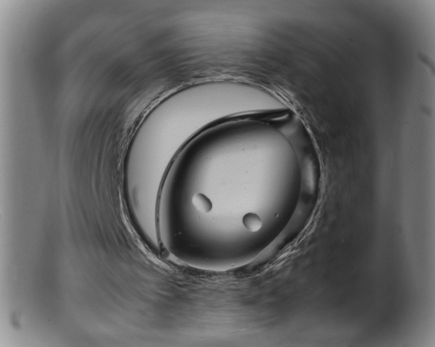 X0000099460097200805161057