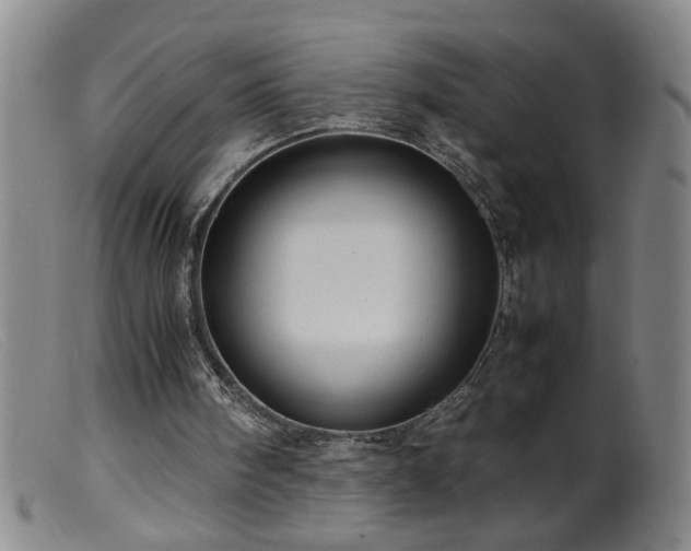 X0000099460098200805161057