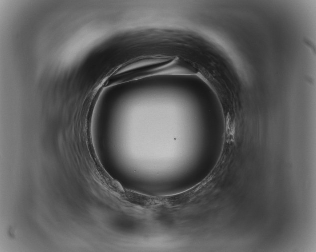 X0000099460099200805161057