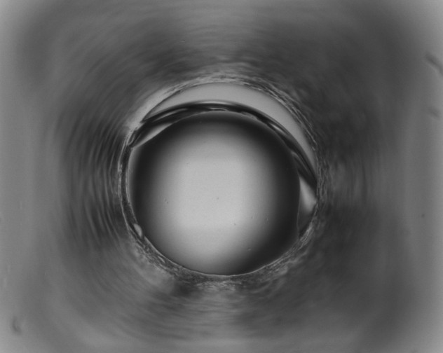 X0000099460100200805161057