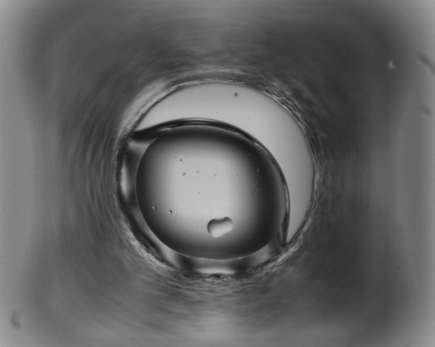 X0000099460101200805161056