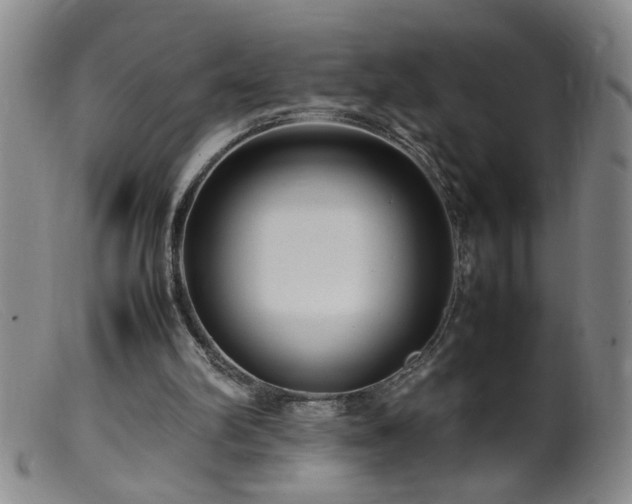 X0000099460102200805161056