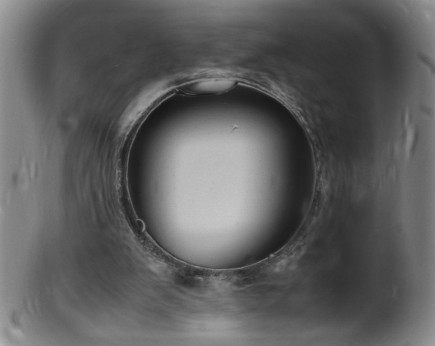 X0000099460103200805161056