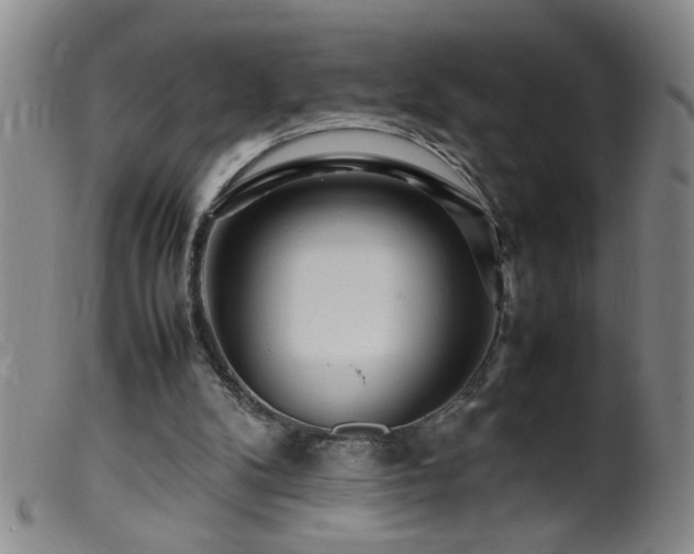 X0000099460104200805161056