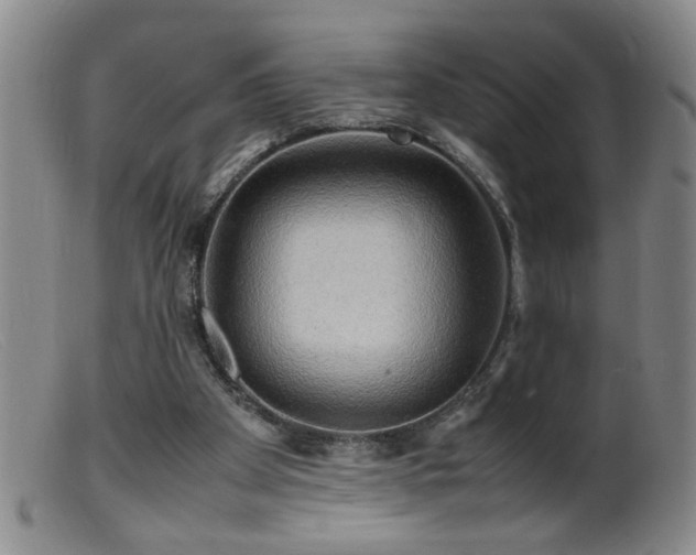 X0000099460105200805161056