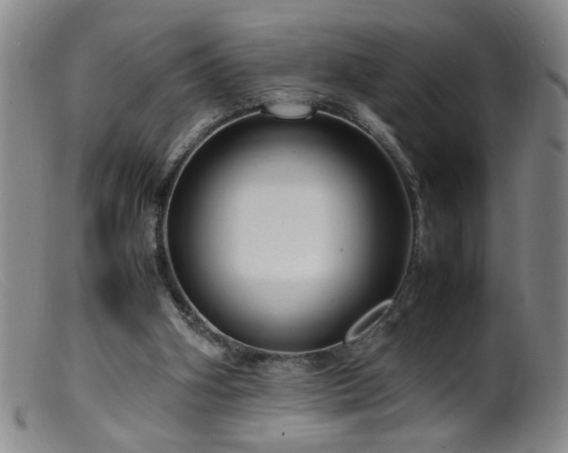 X0000099460106200805161056