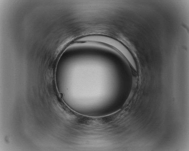 X0000099460107200805161056